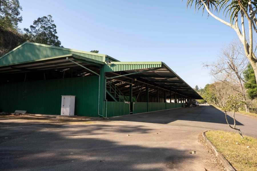 11 Bedroom Property for Sale in Drummond KwaZulu-Natal