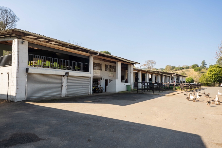 11 Bedroom Property for Sale in Drummond KwaZulu-Natal