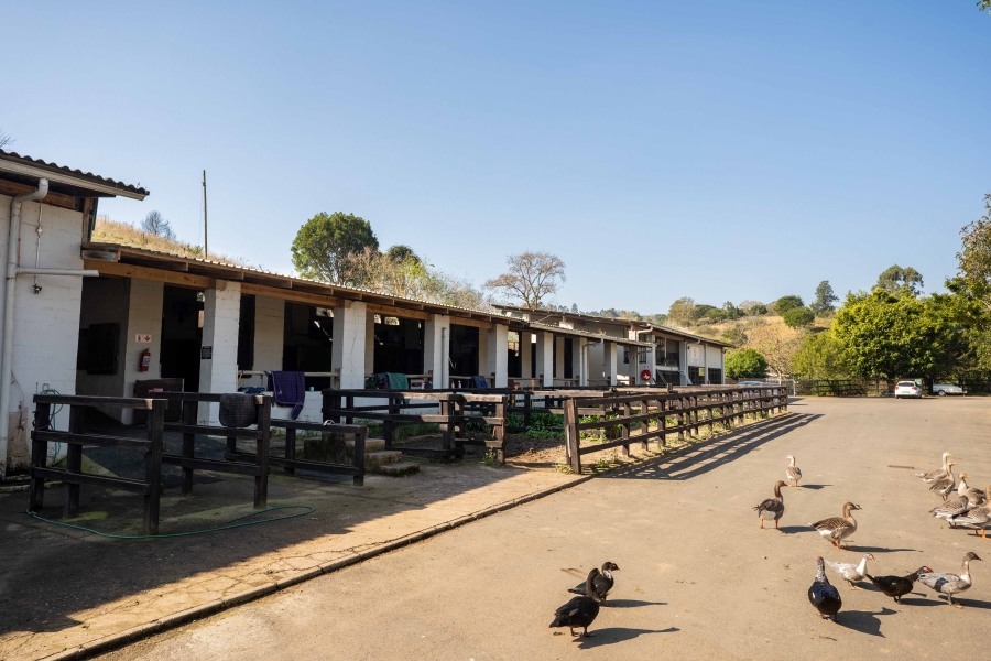 11 Bedroom Property for Sale in Drummond KwaZulu-Natal