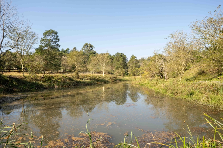 11 Bedroom Property for Sale in Drummond KwaZulu-Natal