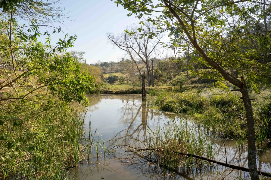 11 Bedroom Property for Sale in Drummond KwaZulu-Natal