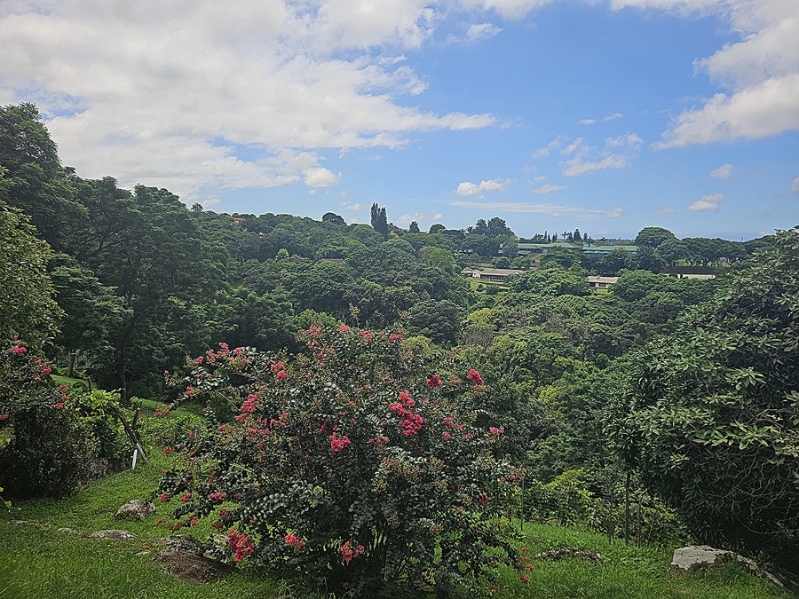 3 Bedroom Property for Sale in Westville Central KwaZulu-Natal