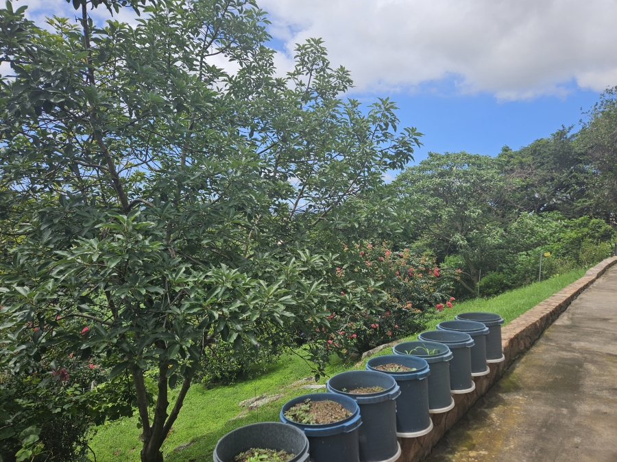 3 Bedroom Property for Sale in Westville Central KwaZulu-Natal