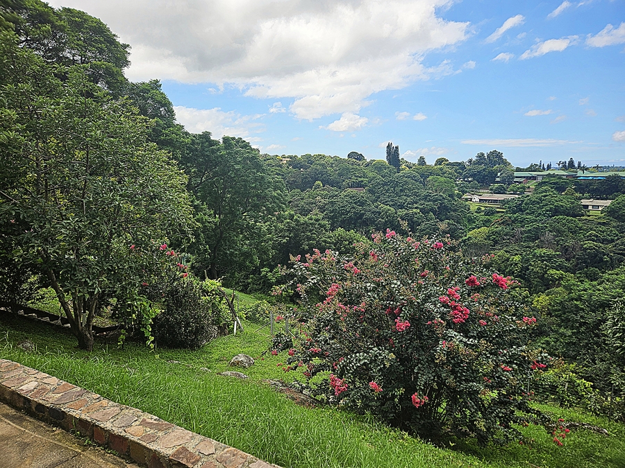 3 Bedroom Property for Sale in Westville Central KwaZulu-Natal