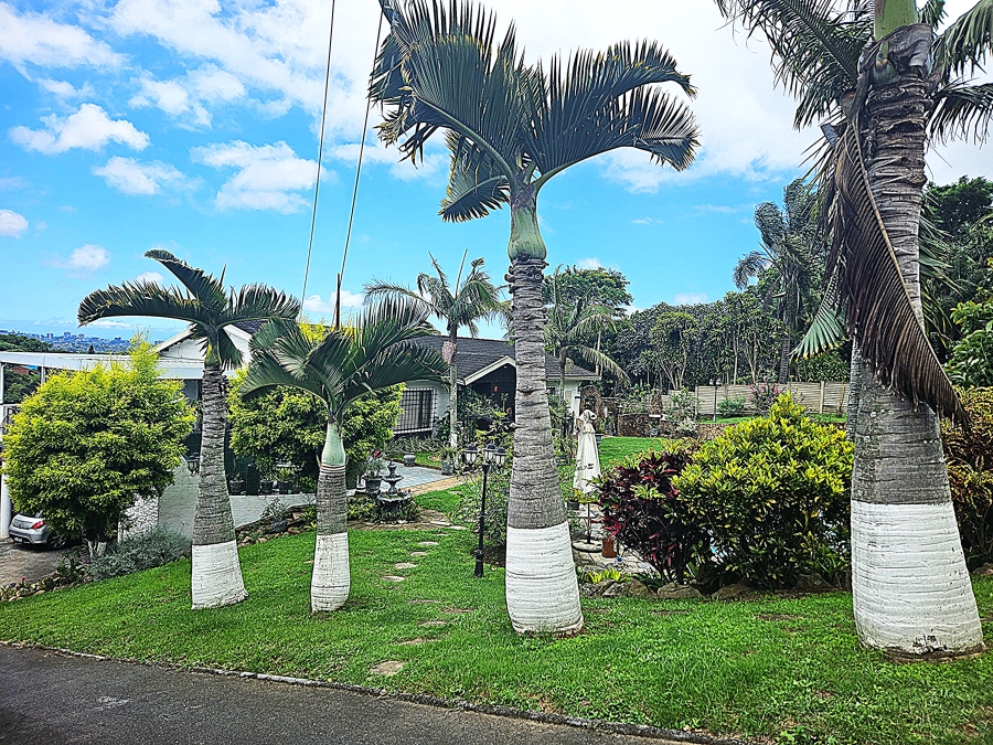 3 Bedroom Property for Sale in Westville Central KwaZulu-Natal