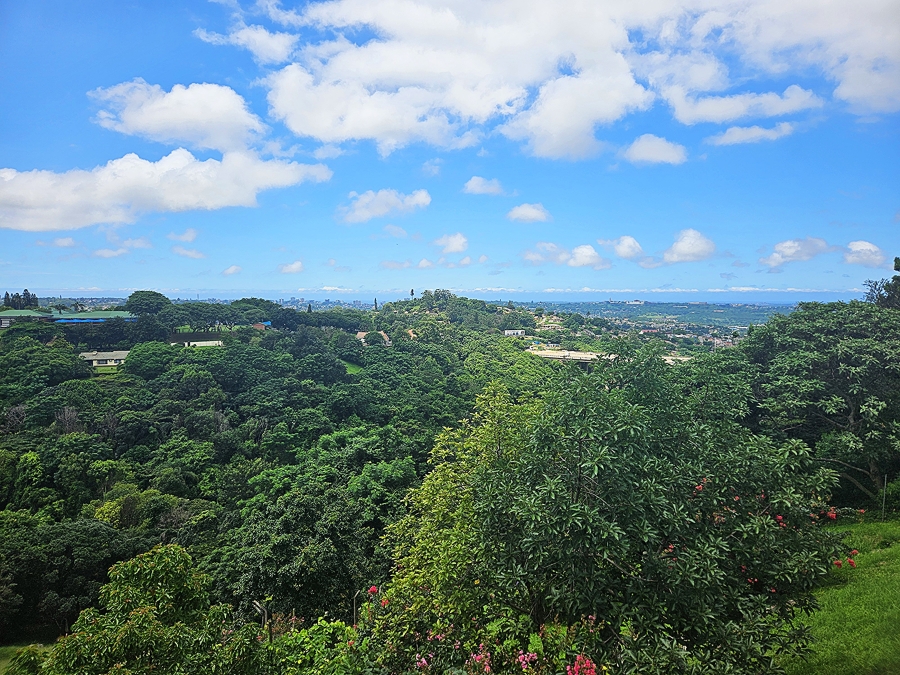 3 Bedroom Property for Sale in Westville Central KwaZulu-Natal