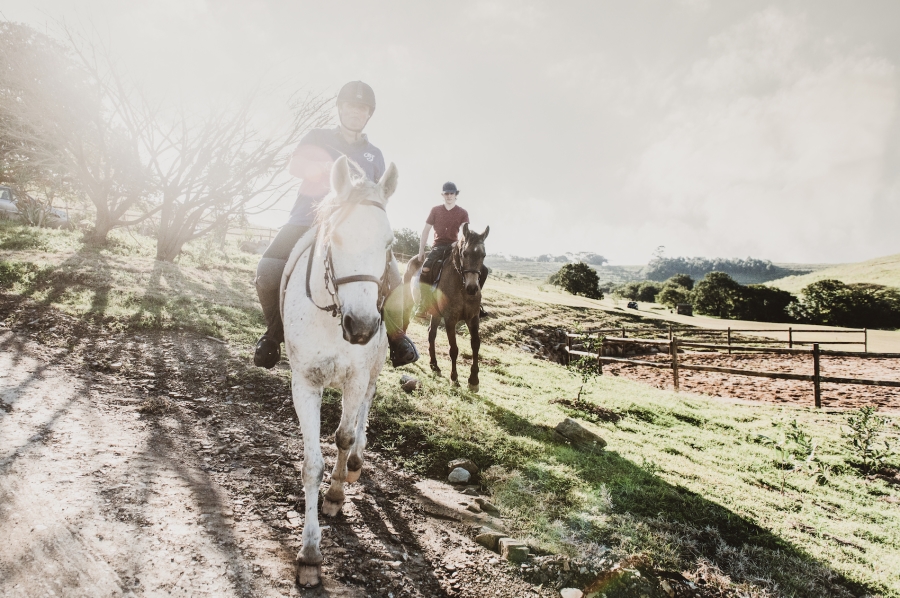 0 Bedroom Property for Sale in Ballito Central KwaZulu-Natal