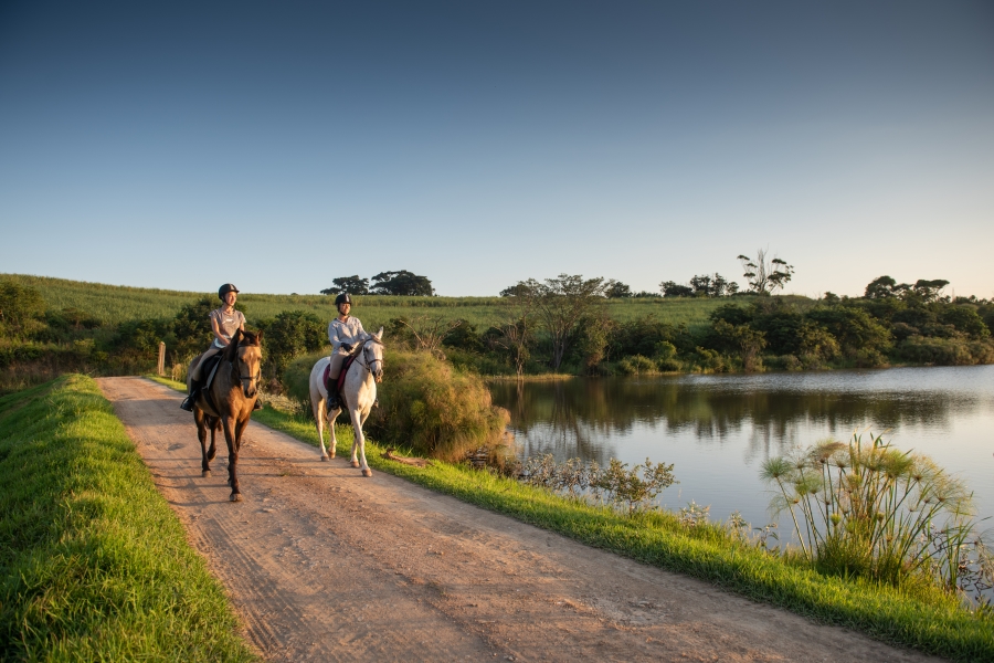 0 Bedroom Property for Sale in Ballito Central KwaZulu-Natal