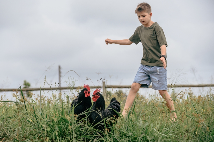 0 Bedroom Property for Sale in Ballito Central KwaZulu-Natal