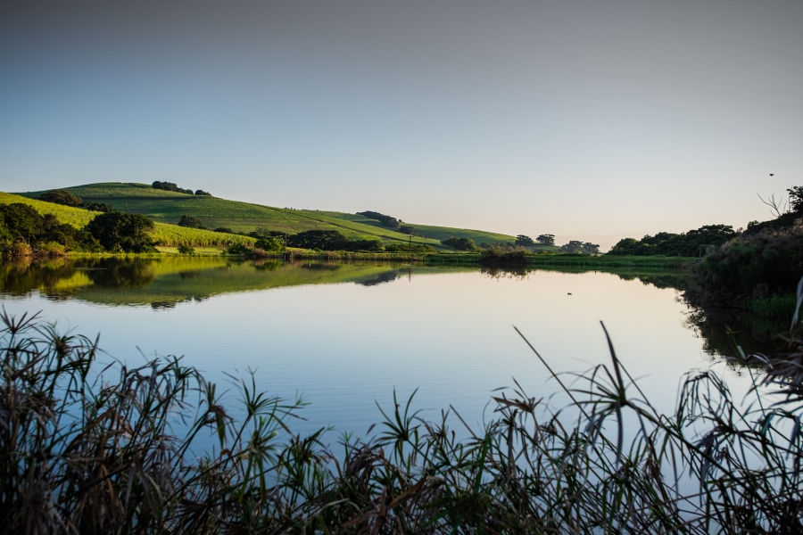 0 Bedroom Property for Sale in Ballito Central KwaZulu-Natal