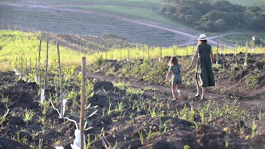 0 Bedroom Property for Sale in Ballito Central KwaZulu-Natal