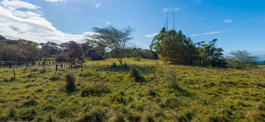 0 Bedroom Property for Sale in New Salt Rock City KwaZulu-Natal