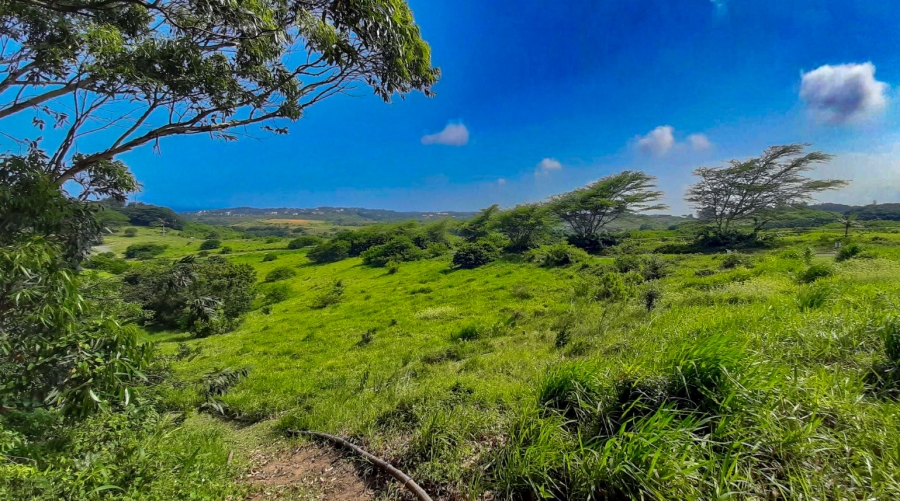 0 Bedroom Property for Sale in New Salt Rock City KwaZulu-Natal