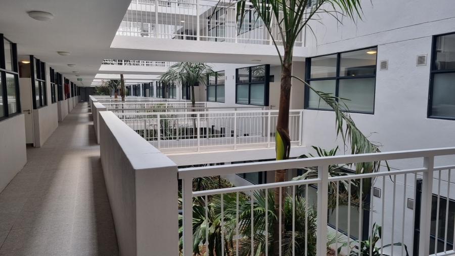 To Let 0 Bedroom Property for Rent in New Town Centre KwaZulu-Natal