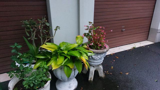 3 Bedroom Property for Sale in Mzingazi Golf Estate KwaZulu-Natal