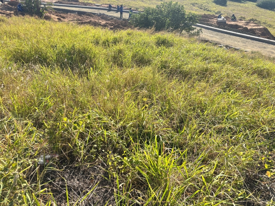 0 Bedroom Property for Sale in Seaton Estate KwaZulu-Natal