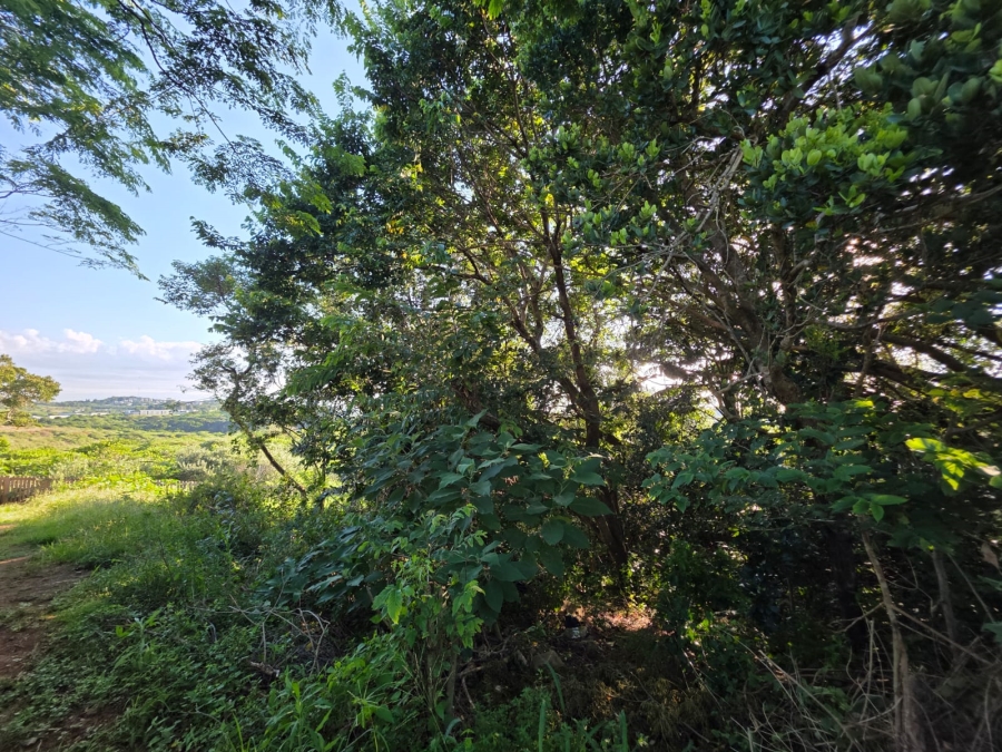 0 Bedroom Property for Sale in Salt Rock KwaZulu-Natal