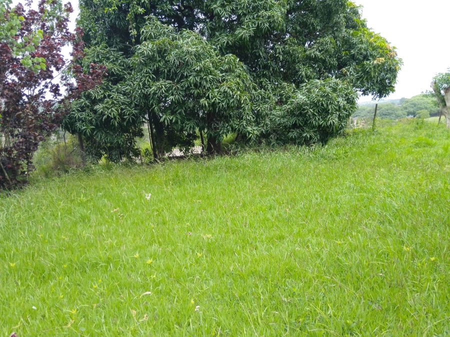 3 Bedroom Property for Sale in Mandeni KwaZulu-Natal