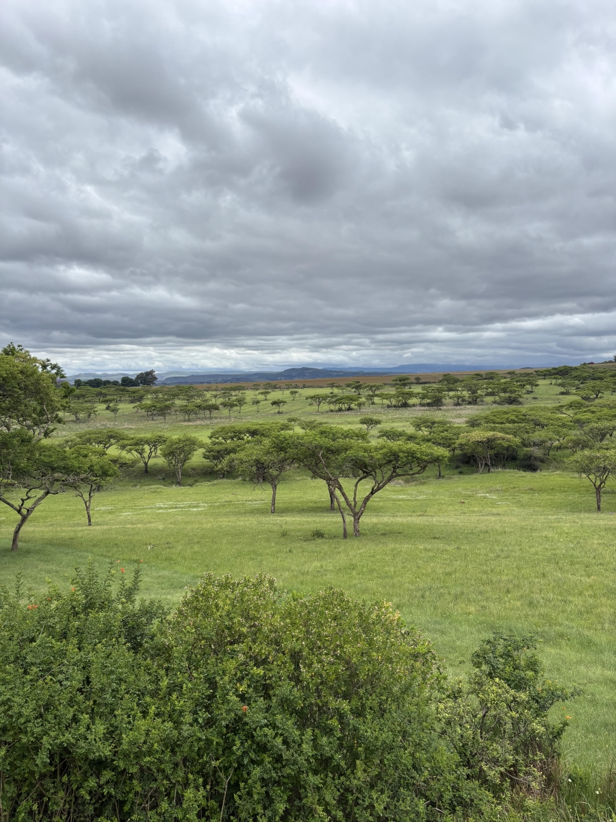 3 Bedroom Property for Sale in Winterton KwaZulu-Natal