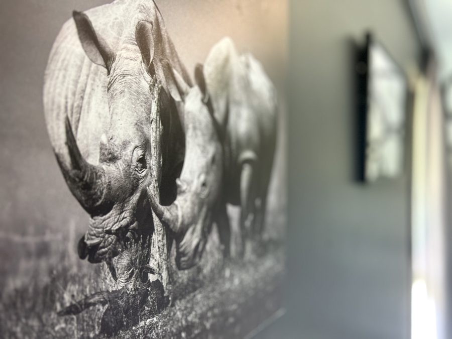 5 Bedroom Property for Sale in Zimbali Coastal Resort Estate KwaZulu-Natal