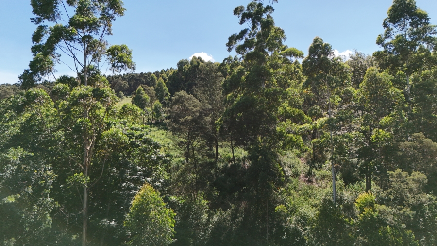 0 Bedroom Property for Sale in Chase Valley KwaZulu-Natal