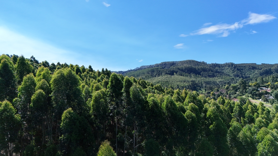 0 Bedroom Property for Sale in Chase Valley KwaZulu-Natal