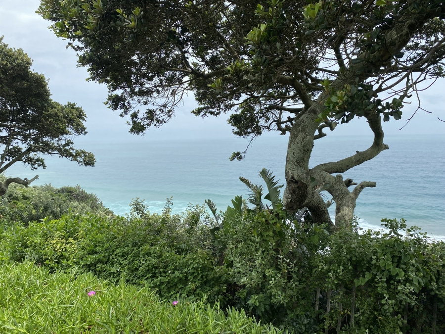 To Let 2 Bedroom Property for Rent in Shakas Rock KwaZulu-Natal