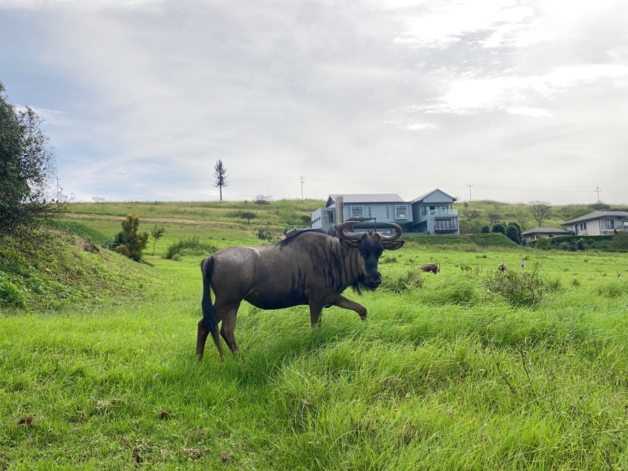 0 Bedroom Property for Sale in Bisley KwaZulu-Natal