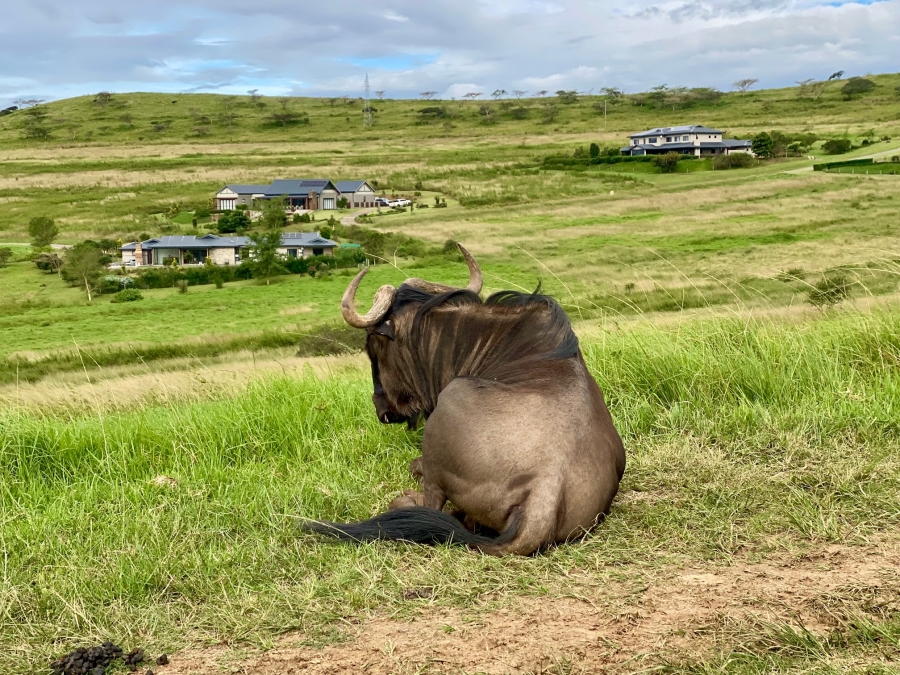 0 Bedroom Property for Sale in Bisley KwaZulu-Natal