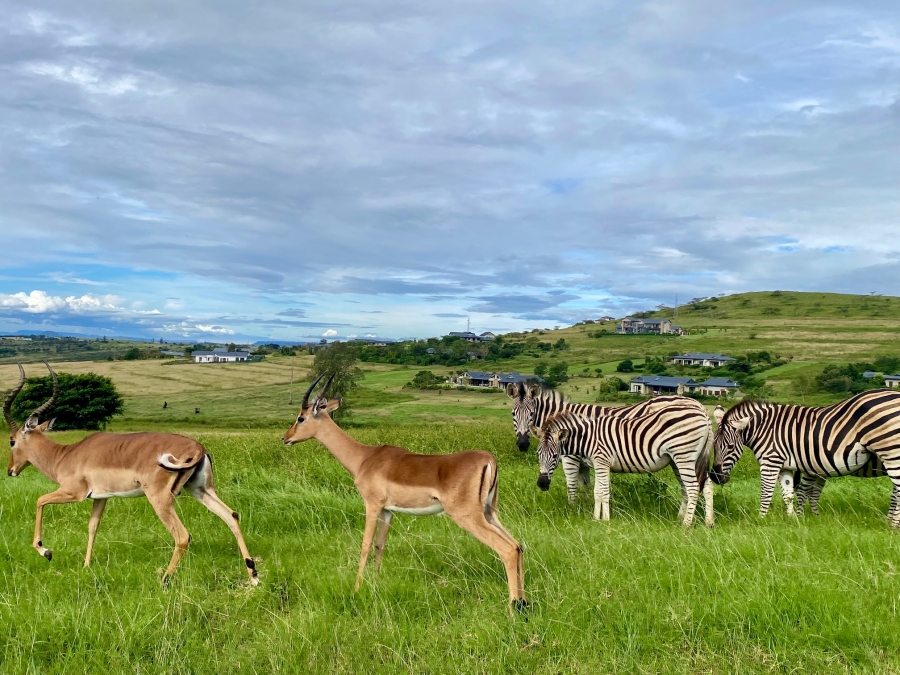 0 Bedroom Property for Sale in Bisley KwaZulu-Natal