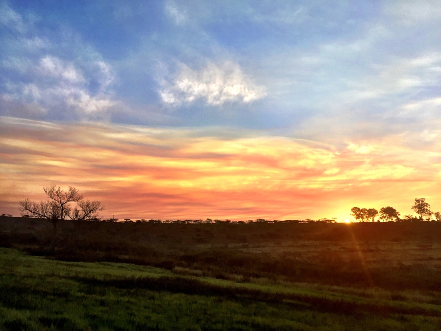 0 Bedroom Property for Sale in Bisley KwaZulu-Natal