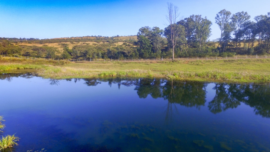 0 Bedroom Property for Sale in Bisley KwaZulu-Natal