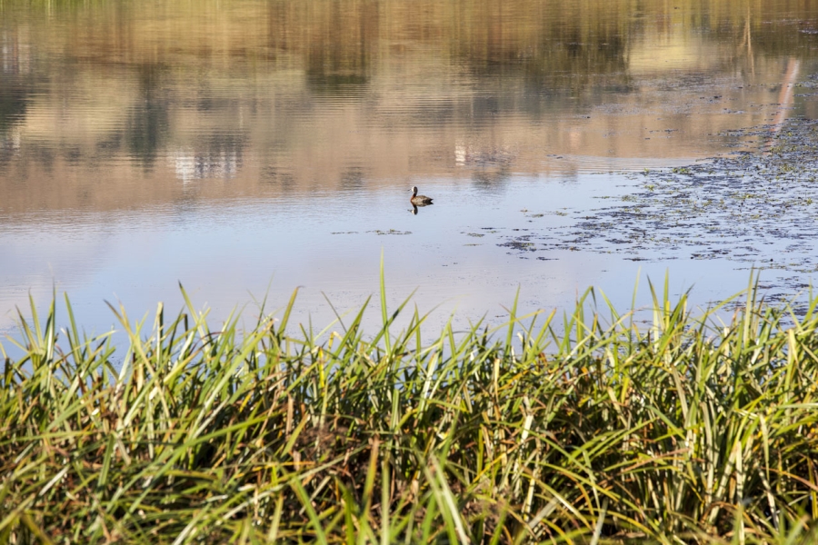 0 Bedroom Property for Sale in Bisley KwaZulu-Natal