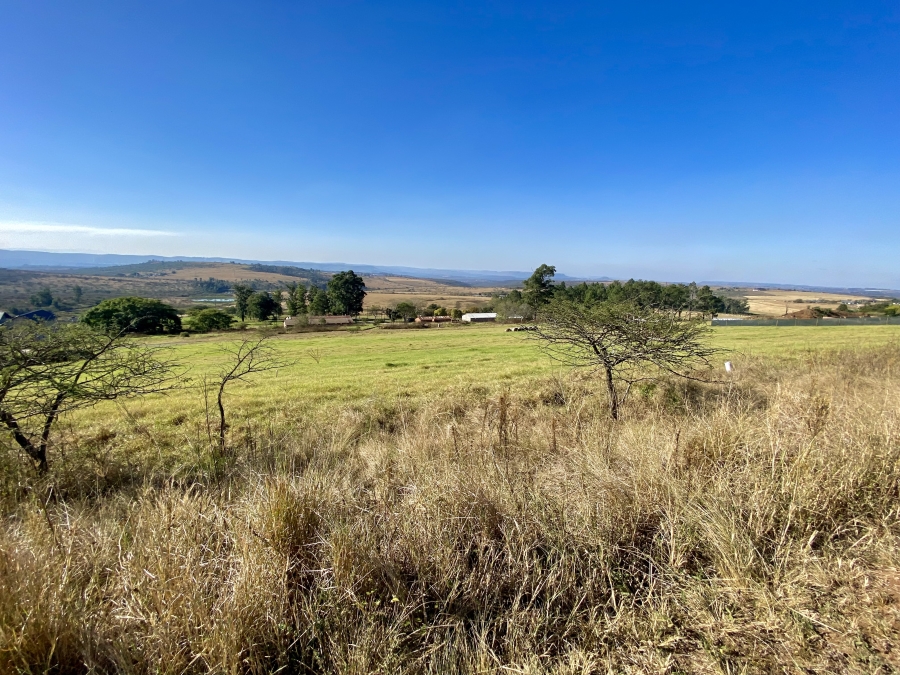 0 Bedroom Property for Sale in Bisley KwaZulu-Natal