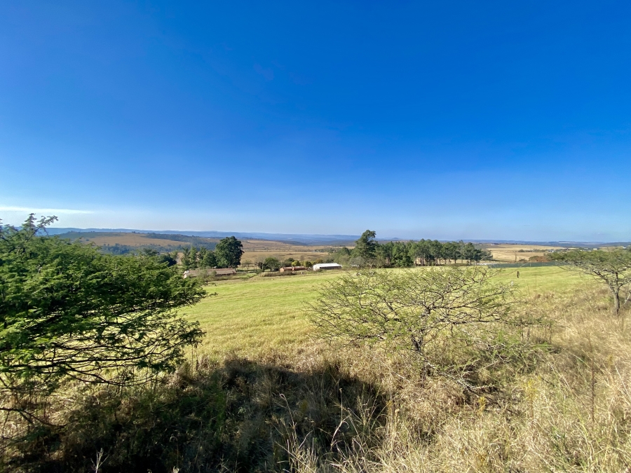 0 Bedroom Property for Sale in Bisley KwaZulu-Natal