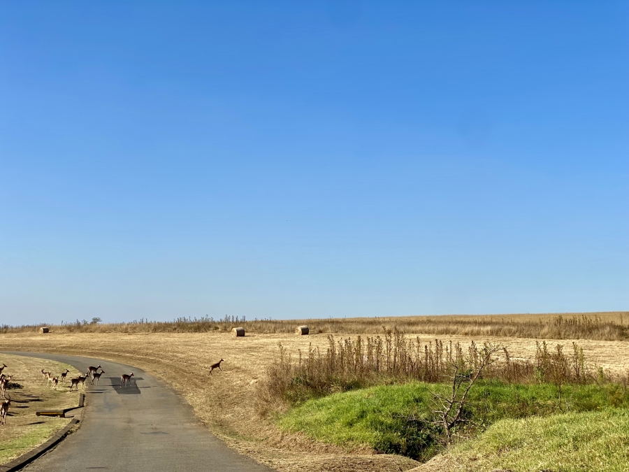 0 Bedroom Property for Sale in Bisley KwaZulu-Natal