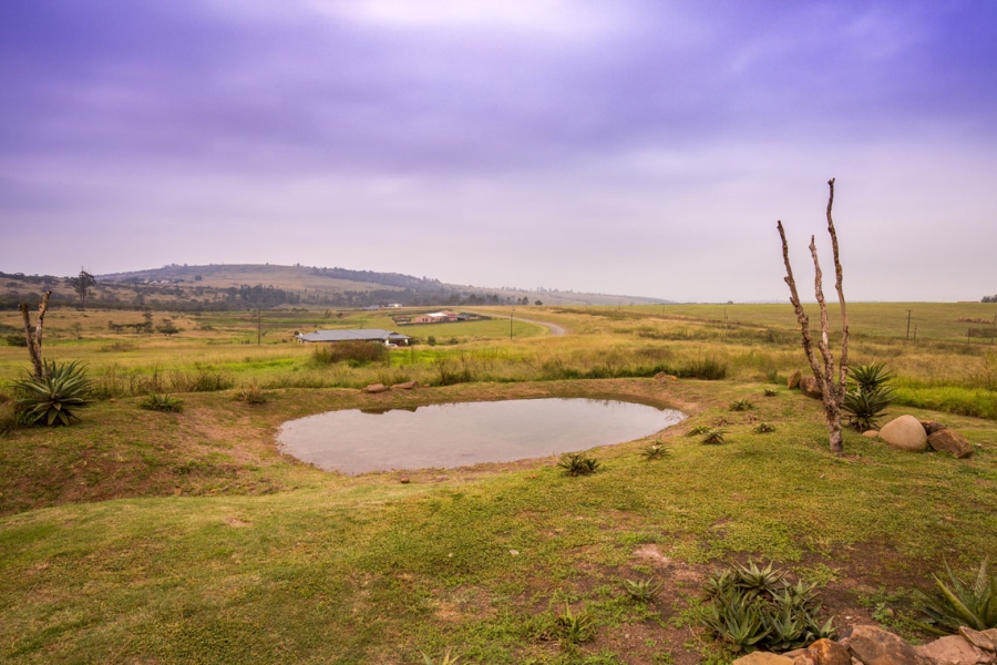 0 Bedroom Property for Sale in Bisley KwaZulu-Natal