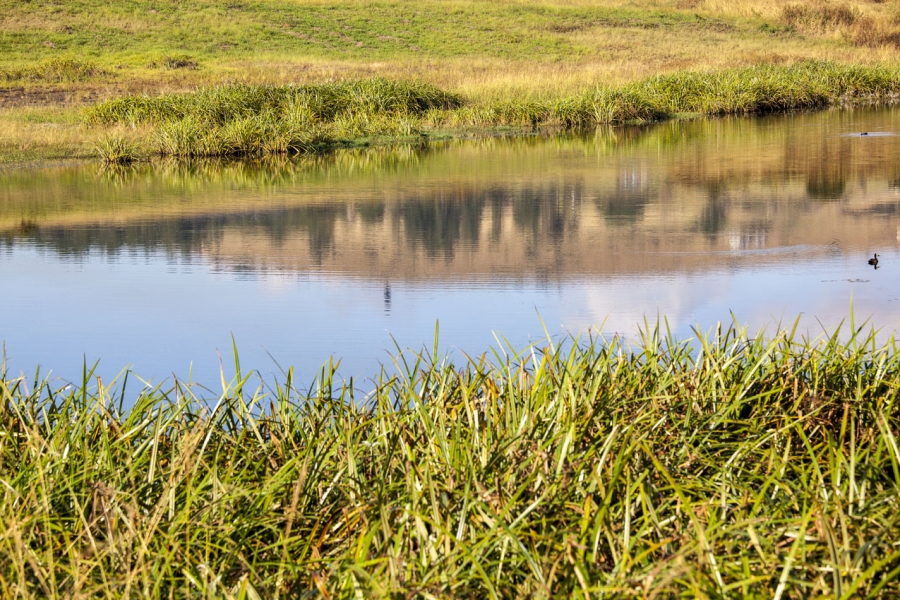 0 Bedroom Property for Sale in Bisley KwaZulu-Natal