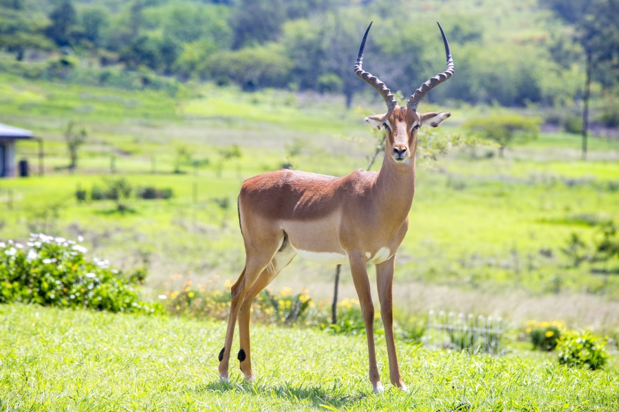 0 Bedroom Property for Sale in Bisley KwaZulu-Natal