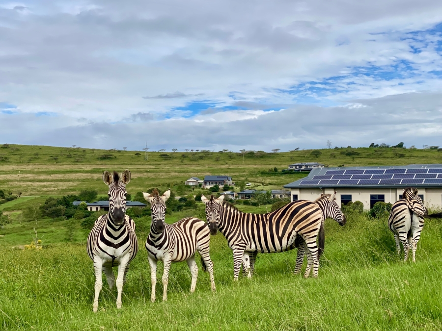 0 Bedroom Property for Sale in Bisley KwaZulu-Natal