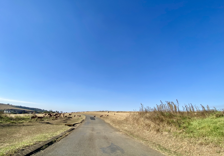 0 Bedroom Property for Sale in Bisley KwaZulu-Natal