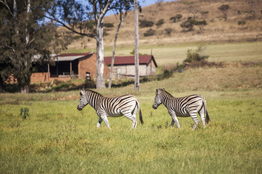 0 Bedroom Property for Sale in Bisley KwaZulu-Natal