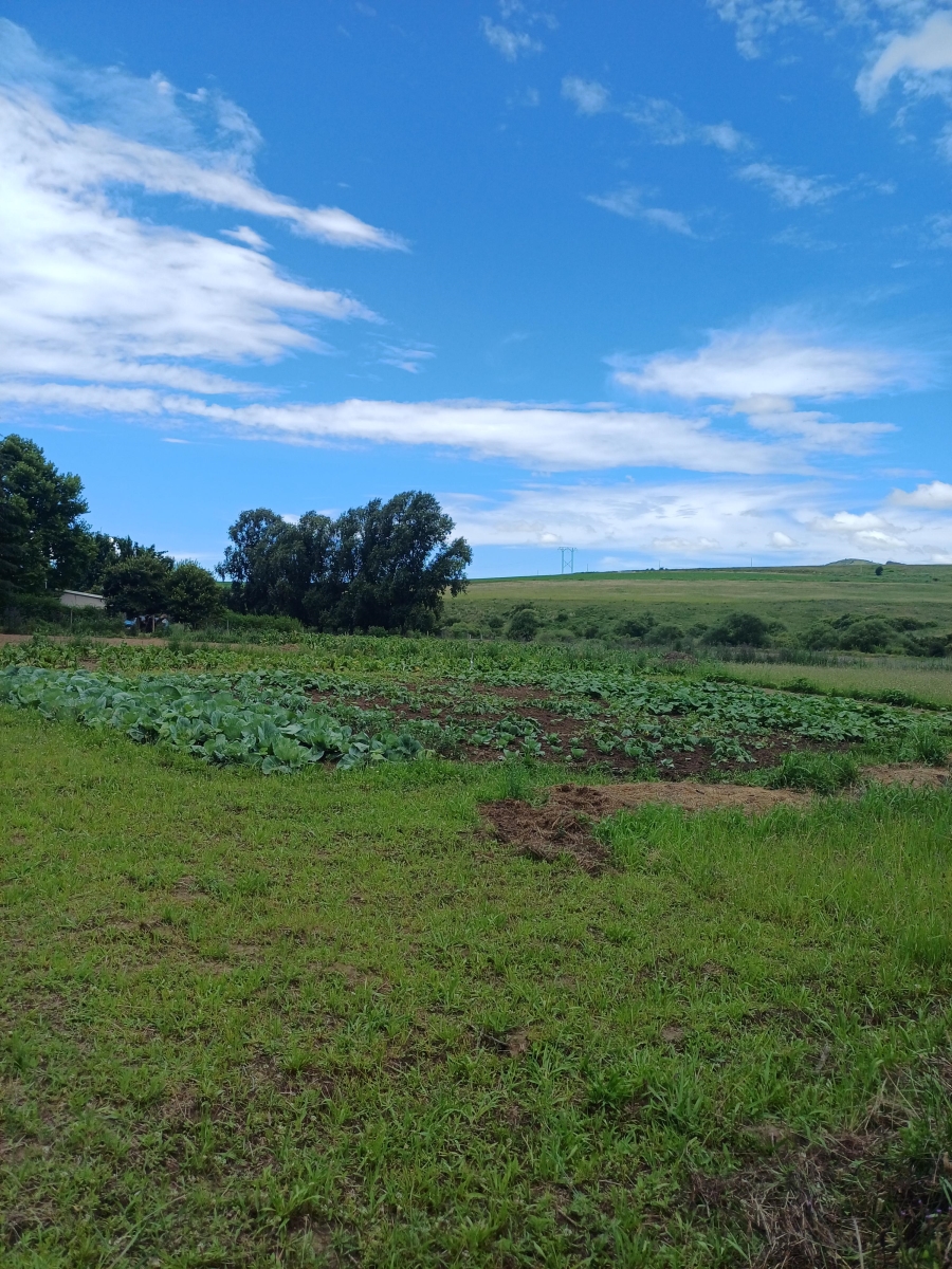 Commercial Property for Sale in Mooi River Rural KwaZulu-Natal