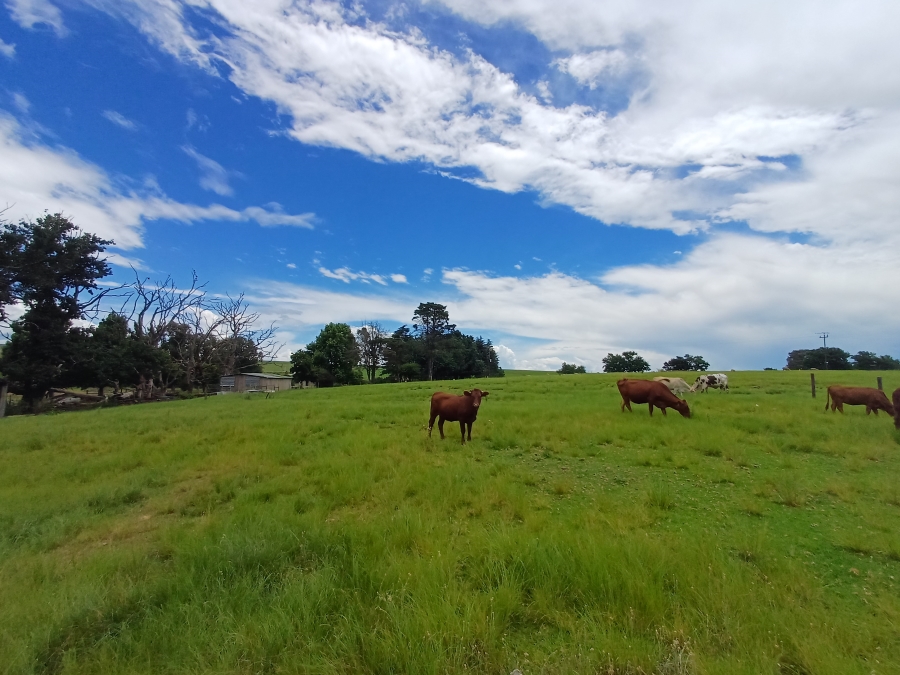 Commercial Property for Sale in Mooi River Rural KwaZulu-Natal