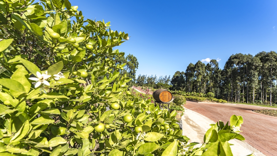 0 Bedroom Property for Sale in Elaleni Coastal Forest Estate KwaZulu-Natal