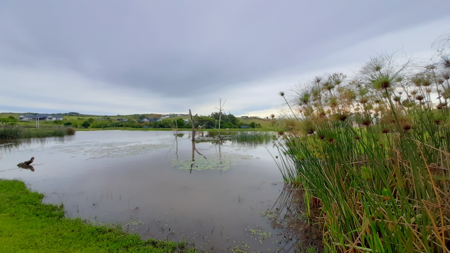 To Let 4 Bedroom Property for Rent in Springvale Country Estate KwaZulu-Natal