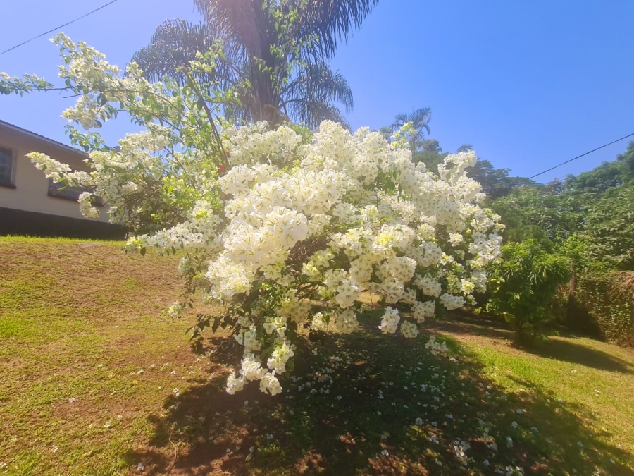 3 Bedroom Property for Sale in Mandeni KwaZulu-Natal