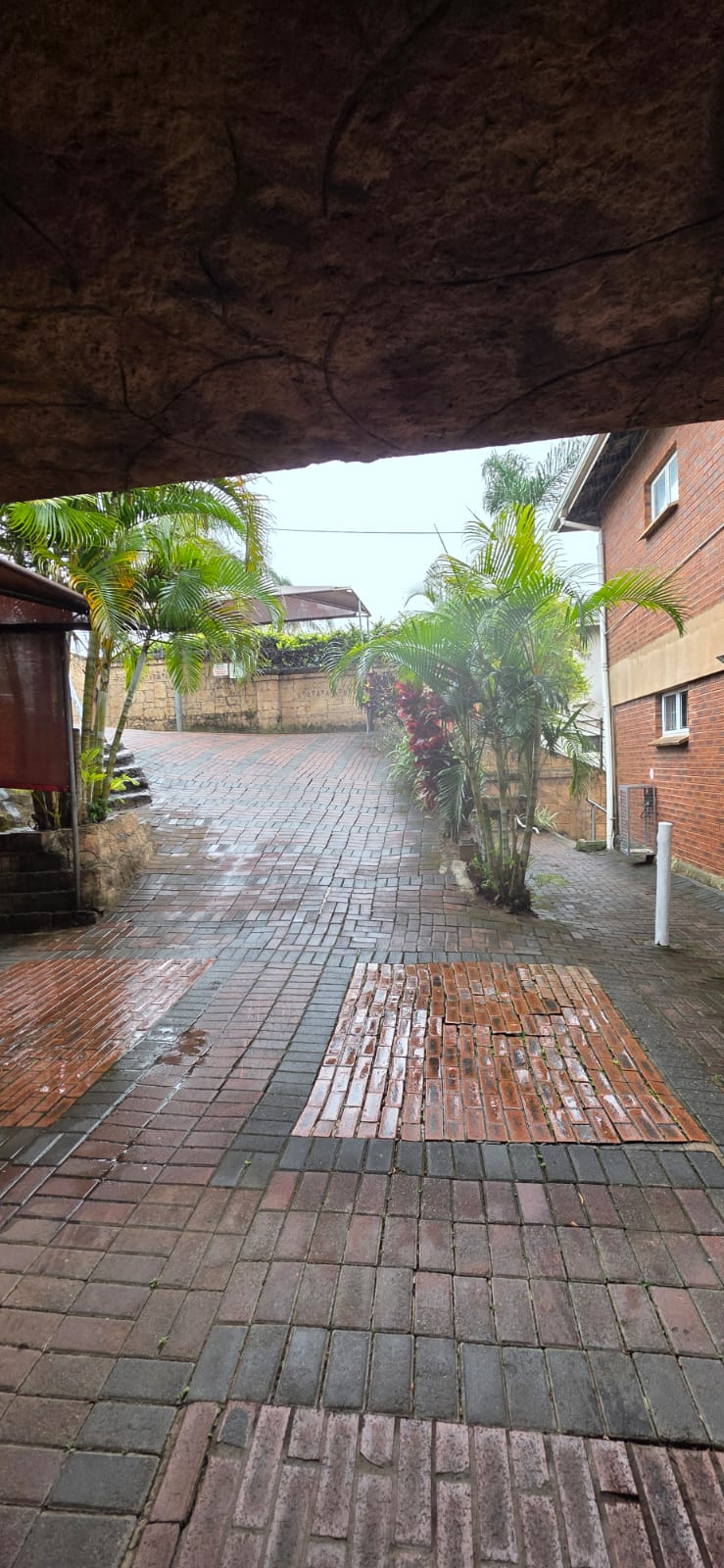 To Let 3 Bedroom Property for Rent in Sherwood KwaZulu-Natal