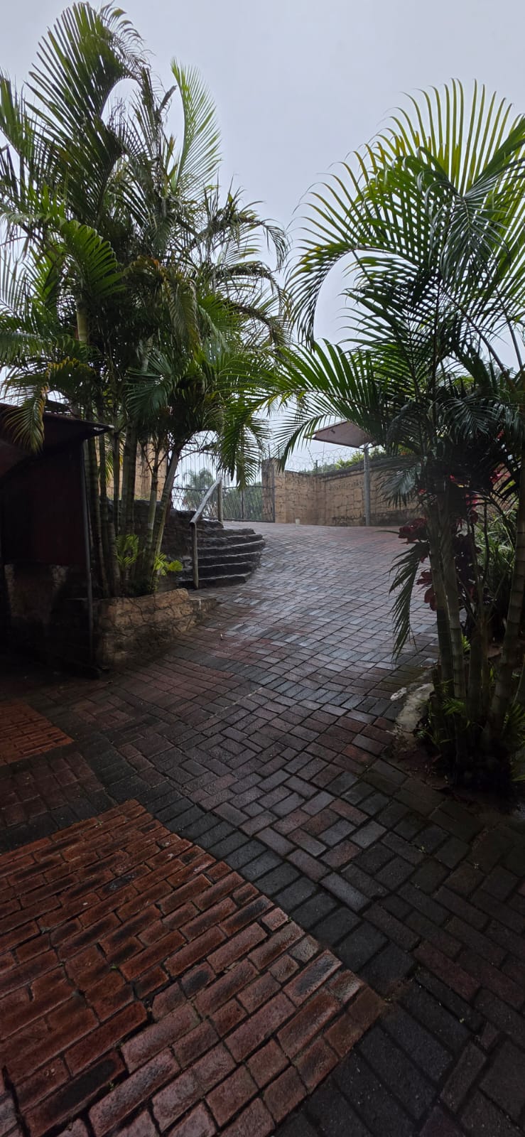 To Let 3 Bedroom Property for Rent in Sherwood KwaZulu-Natal