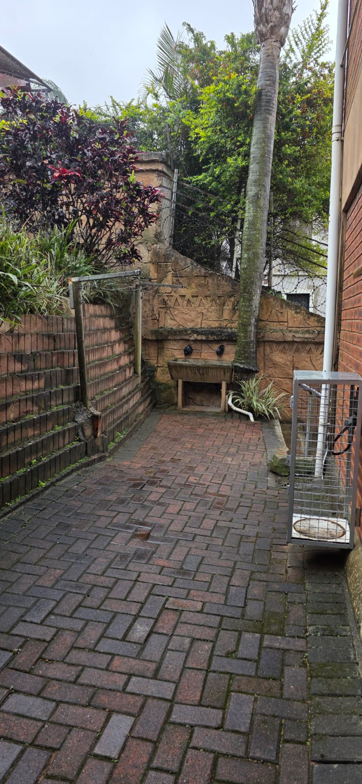 To Let 3 Bedroom Property for Rent in Sherwood KwaZulu-Natal